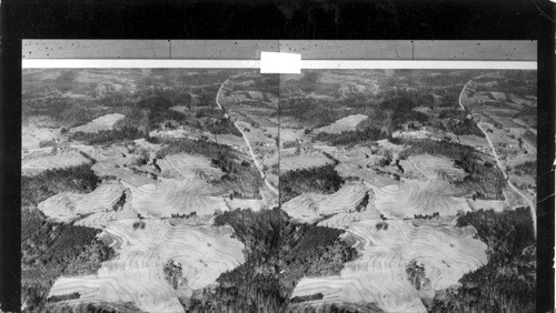 Farming to prevent erosion contour. S. Carolina