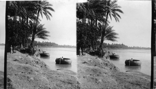 Tropical Scene Along the Tigris - Mesopotamia