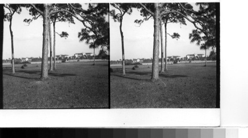 Bay Pines, Florida. The Veterans Hospital at bay pines, just beyond the northern outskirts of the city of St. Petersburg. The buildings are fine and their setting is very beautiful (information copies from negative envelope)