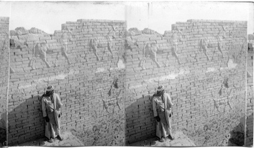 Reliefs of Sacred Bull and dragon, a wall of Ishtar Gate - Babylon. Mesopotamia