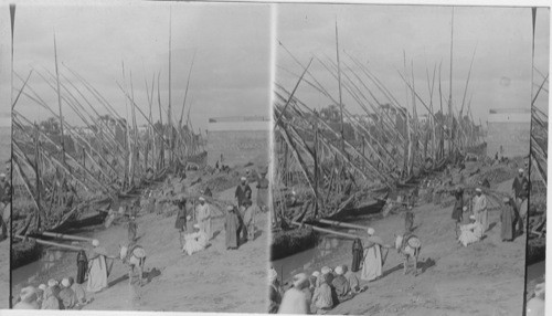 Boats along the Nile. Egypt