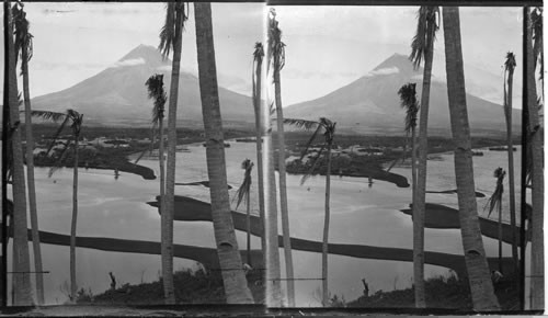 Coconut palms robbed of their majestic crowns by a typhoon & town of Legaspi [Legazpi] and Mayon Volcano in distance. Island of Luzon, P.I