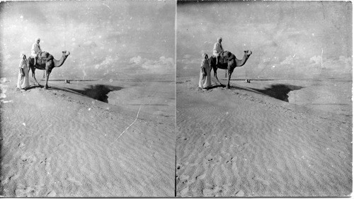 Camel and Riders in Sahara Desert, Egypt