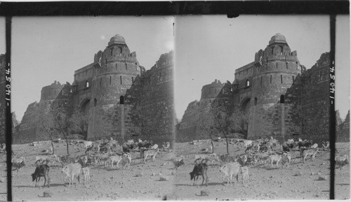 Imposing ruins of a massive gate in the walls of old Delhi, India