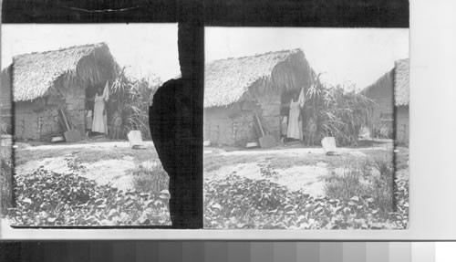 A negro hut in the interior of Brazil, S.A