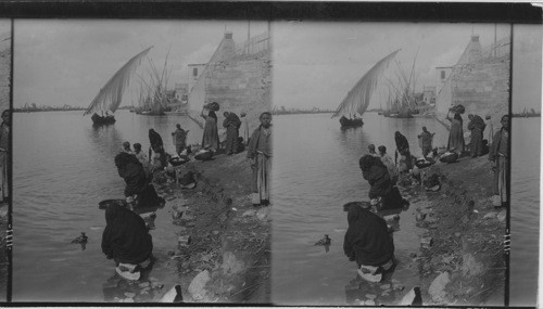 An Egyptian Laundry - Arab Washer women at Work by the Nile. Cairo. Egypt