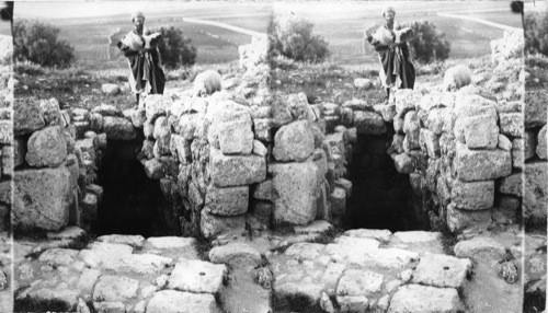 Grotto from whence the sheperds “watched their flocks” - near Bethlehem. Palestine