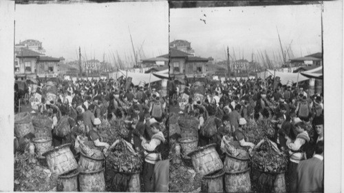 Bargaining for fruit and vegetables in Stamboul’s busy market. Turkey