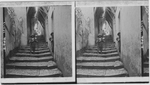 A Narrow tortuous street roofs nearly meeting overhead, Characteristic of the Arab quarters, Algiers, Algeria