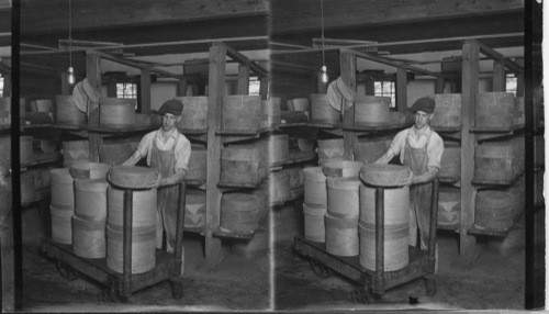 Packing cheese from the shelves in the curing room, Cheese Factory at Mount Elgin, Ont