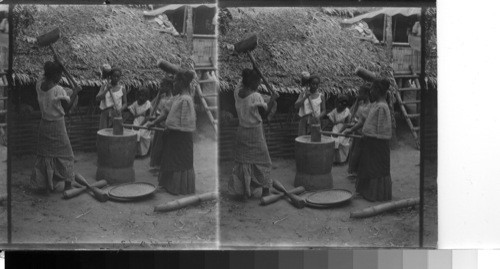 Cleaning Rice, Philippines