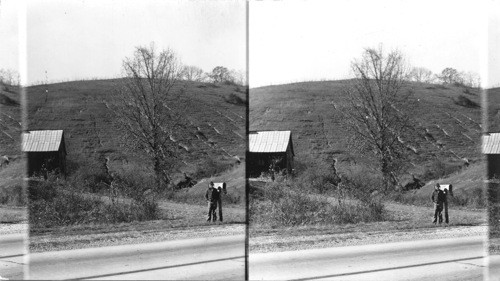 Land Erosion near Knoxville, Tennessee