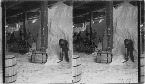 Packing Salt into Barrels for Shipment, St. Clair, Mich