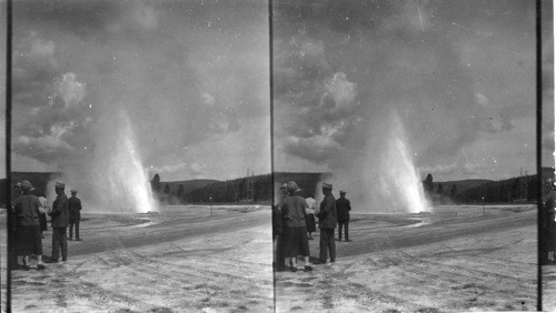 Daisy Geyser, Upper Basin. Y.N.P