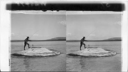 Quick lunch in Yellowstone Park - Catching (in lake) and cooking (in boiling spring) a trout within a minute. Obsolete - this isn't done anymore