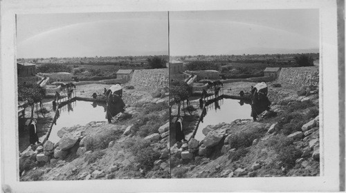 Elisha’s Fountain near Jericho Jerusalem