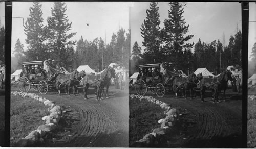 Wylies Permanent Camp. Camp Roosevelt, Yellowstone Natl. Park. Wyoming