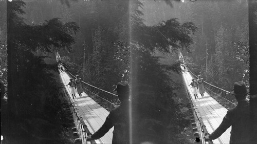 Suspension Bridge, Capilino Canyon