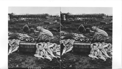 Preparing Food for the Winter. [By Martin, 1953. PW 2/9/1984]