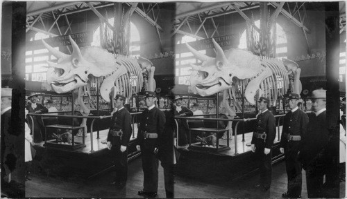 Interior of the Government Building Pan American Exposition