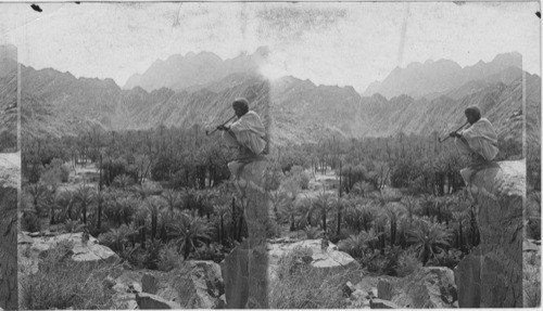 The Valley of the Amalekites, Wady Ferian Egypt Sinai