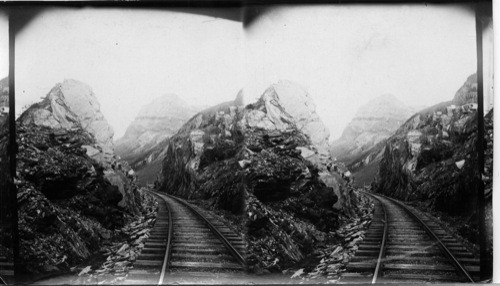 R.R. Cut Near Field. B.C., Mount Stephen in Distance