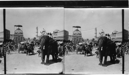 Manak Chowk a busy throughfare in Jaipur, India