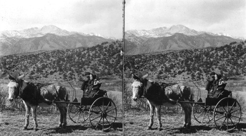 In Colorado (Donkey hitched to cart)