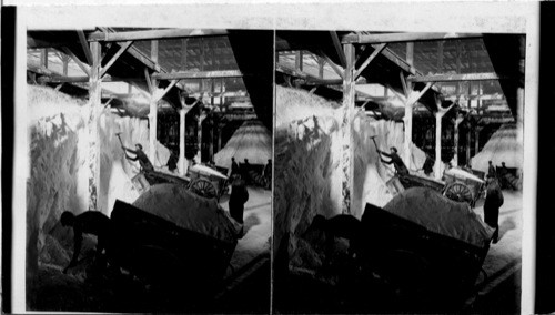 Loading carts at Salt Dumps. Hutchinson, Kansas