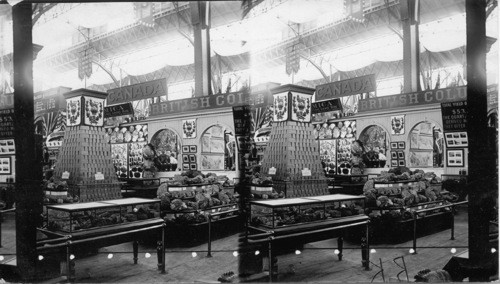 Canada's Exhibit, Mining Building, World's Fair, Chicago. [Samples of different mined materials]