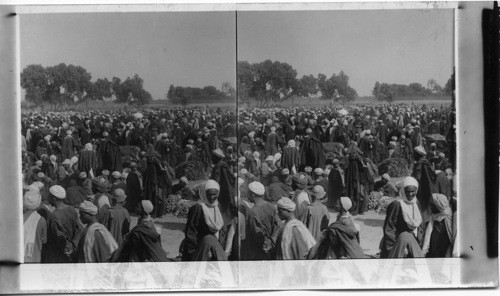 The great weekly market, Luxor, Egypt