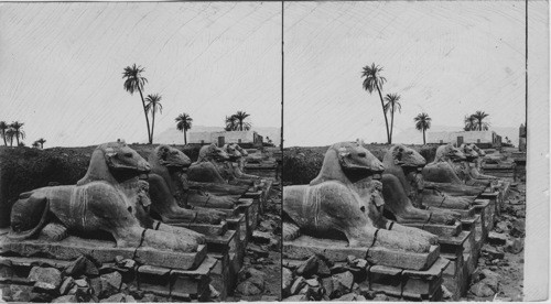 Avenue of Sphinxes near ruins of Karnak