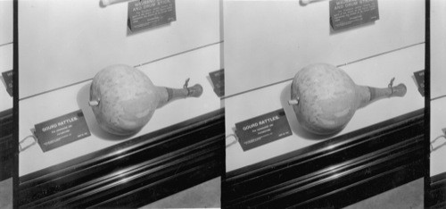 Gourd rattle, Field Museum, Chicago, Ill