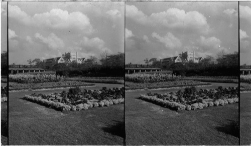 Gardens in Garfield Park, S.E. to St. Phillip School for Girls. (Catholic School) Chicago, Ill