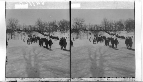 Canadian Winter Sports,Tobogganing. Canada