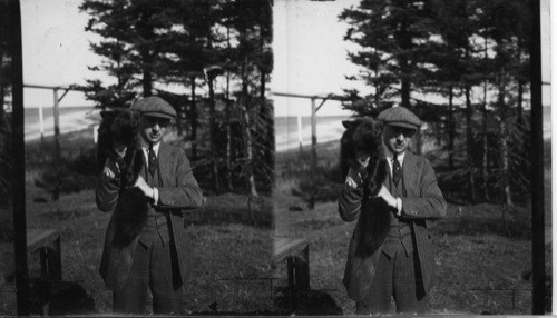 Showing Dr. Leo Frank holding a domesticated Silver Black Fox in his arms. It has been so domesticated that it is safe to hold it. Rosbank Fur Farms, Ltd. Southport, P.E. Island