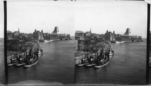 St. John Waterfront Toward Bay of Fundy Showing Canadian Custom House, National Railways & Grain Elevator, St. John, N.B