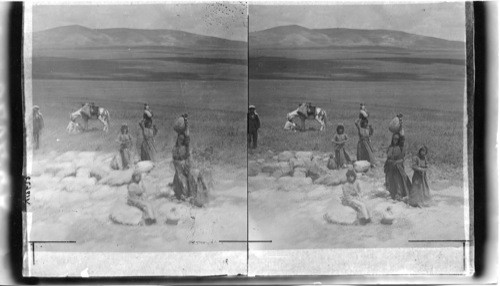 Ahab’s Well to Hill of Moreh near Jezreeh - Palestine