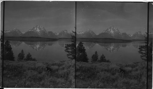 Mt. Moran, across foot of Jackson Lake