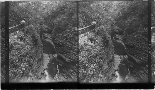 A Picturesque View of the Glen and Path Along the Edge of the Rocky Chasm. Watkins Glen