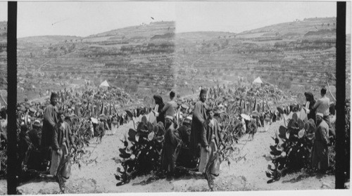 Pilgrims leaving Jerusalem, Palestine