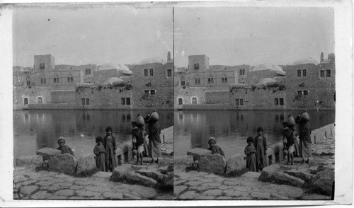 The Pool of Hebron, Palestine