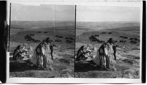 Arabs and Their Tents in Wilderness of Tekoah, looking towards Bethlehem. Palestine