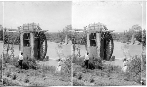 Primitive Irrigation Wheel. Syrian Antioch. Bibical Asia Minor