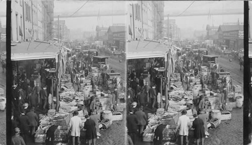 Fulton Market fish dealers. N. from Beachman's St. [Beekman St. in X37467] along South Street. N.Y. City