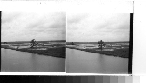 Rice fields showing the contour formation of the "paddies" which planting makes for better irrigation and consequently better crops, near Lake Charles, Louisiana