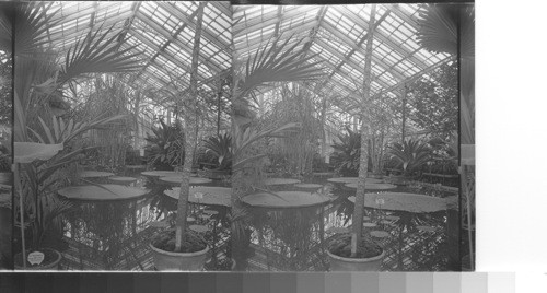 [No inscription]