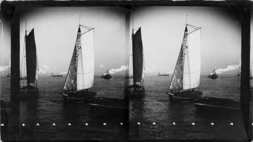 View from the Battery. New York Harbor