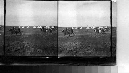 Dragging Brush back to the Medicine Lodge. Fort Belknap Reservation, Mont., July 1906