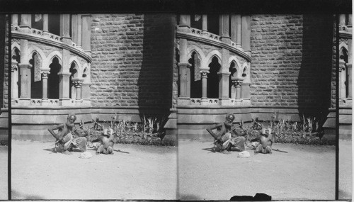 A Native Juggler and His Trick Monkey, Bombay, India